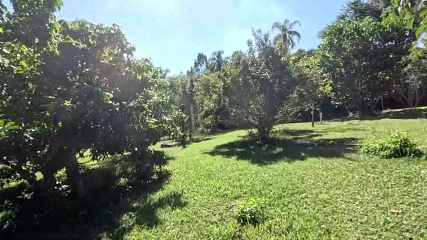 Loteamento e Condomínio, 6500 m² - Foto 41