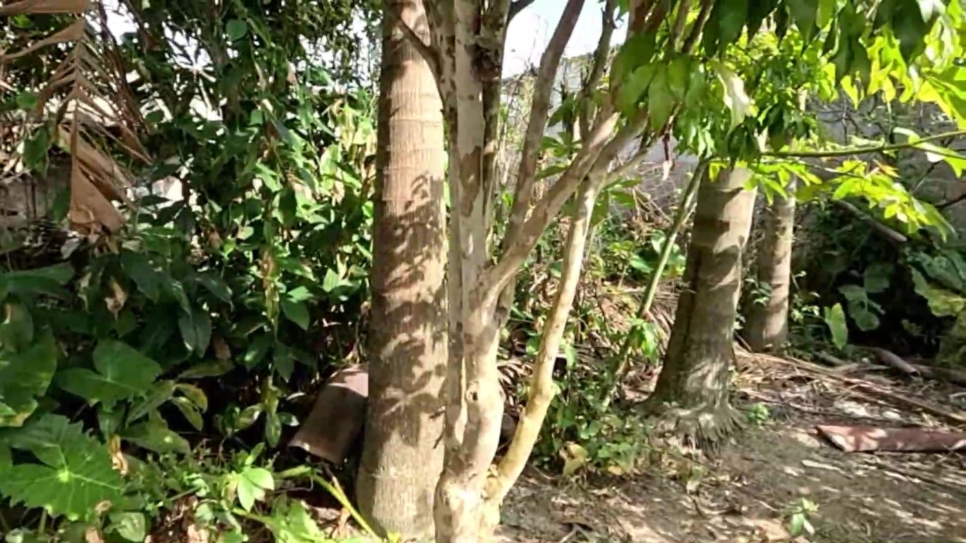 Chácara, 3 quartos, 1500 m² - Foto 26