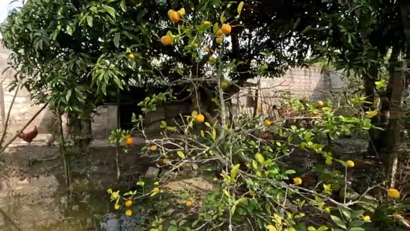 Chácara, 3 quartos, 1500 m² - Foto 25