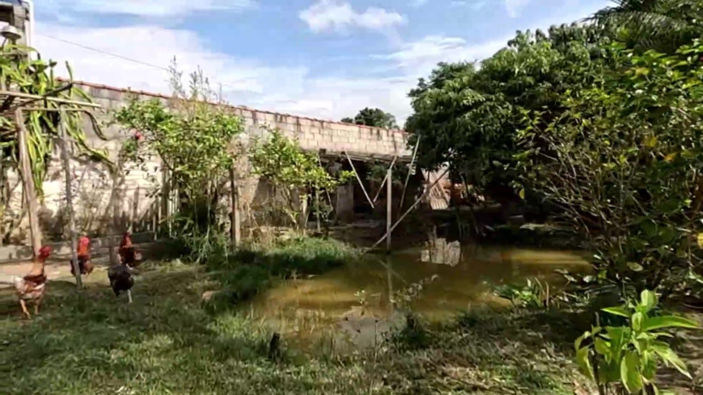 Chácara, 3 quartos, 1500 m² - Foto 24