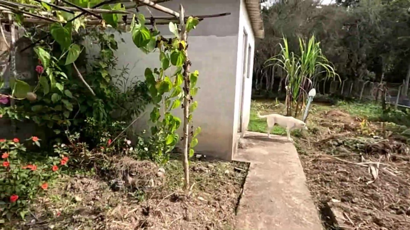 Chácara, 3 quartos, 1500 m² - Foto 37