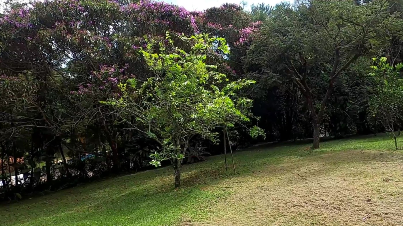 Casa de Condomínio, 4 quartos - Foto 37