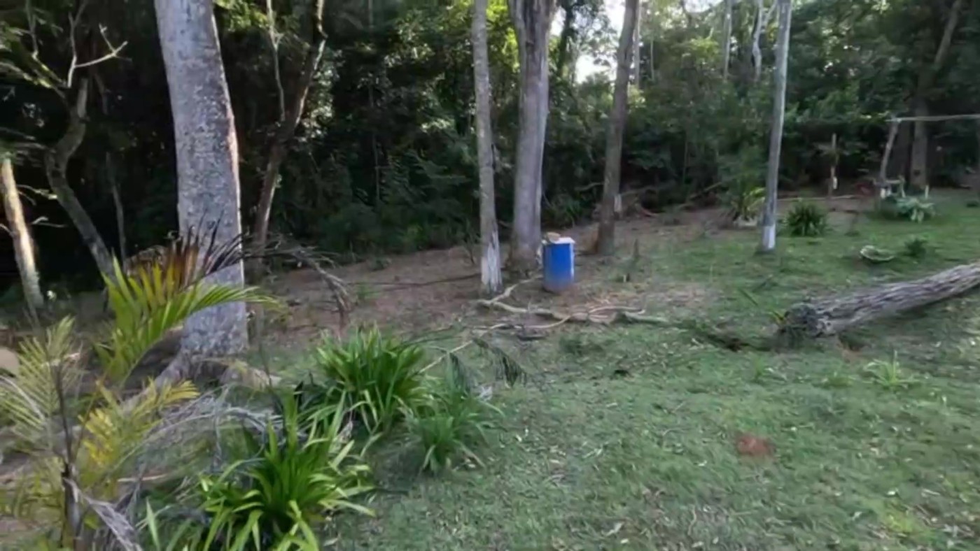 Chácara, 2 quartos, 2 hectares - Foto 22