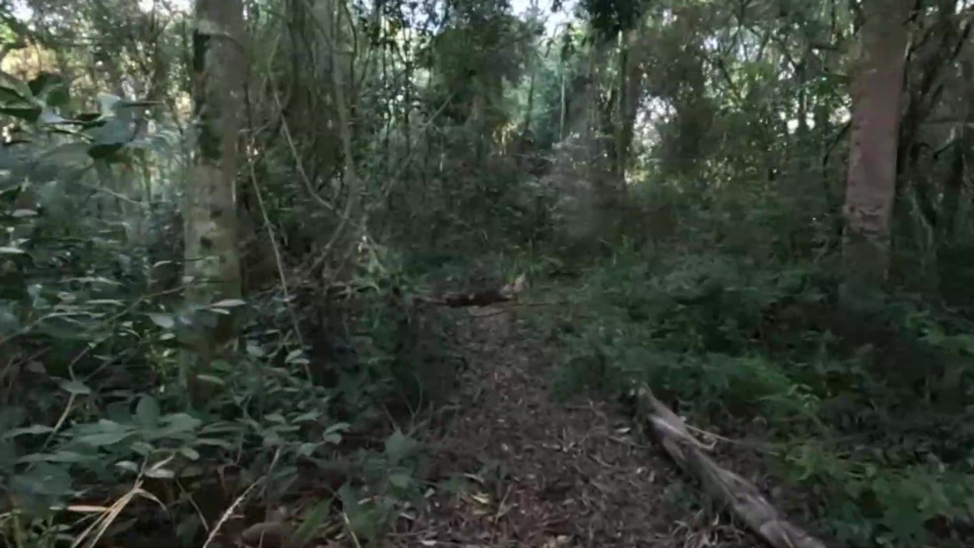 Chácara, 2 quartos, 2 hectares - Foto 28