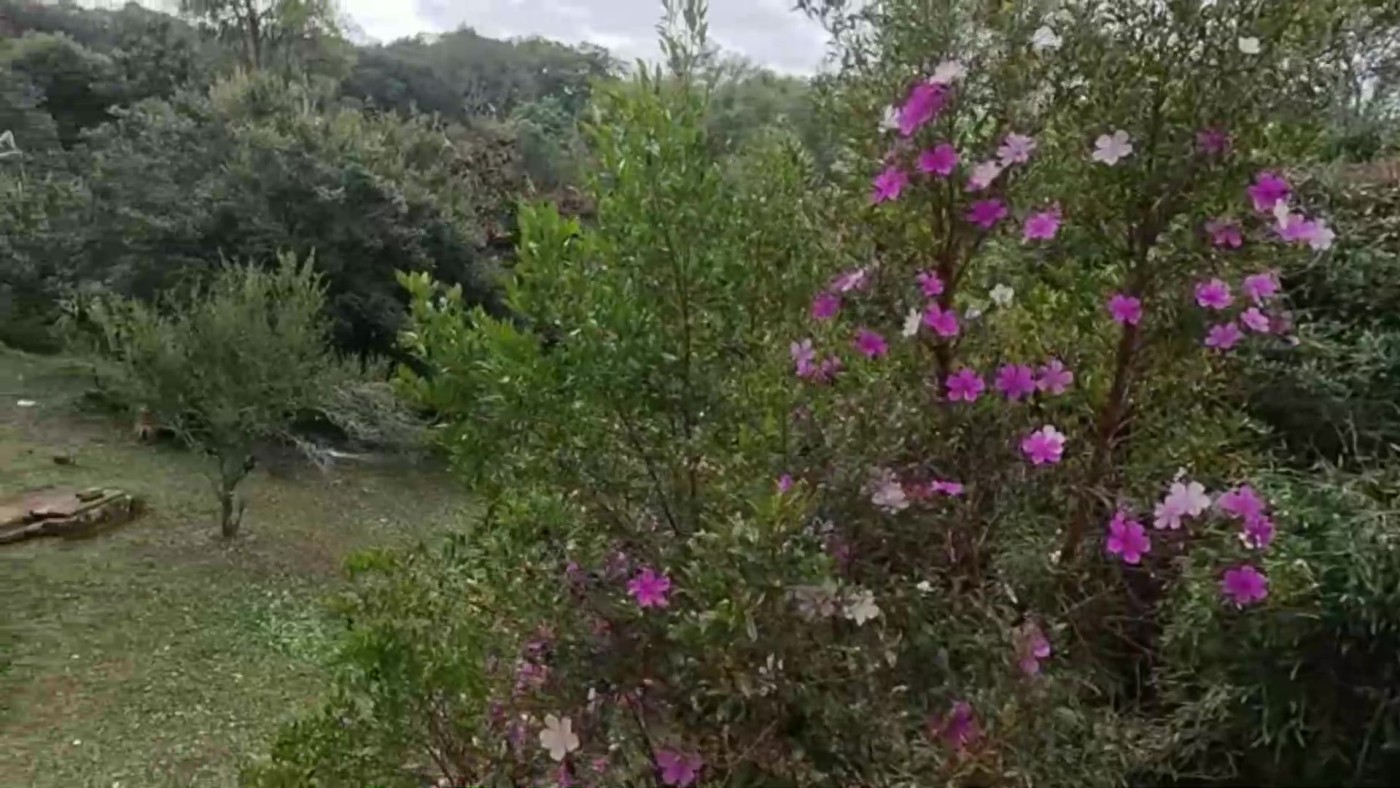 Chácara, 2 quartos, 1500 m² - Foto 17