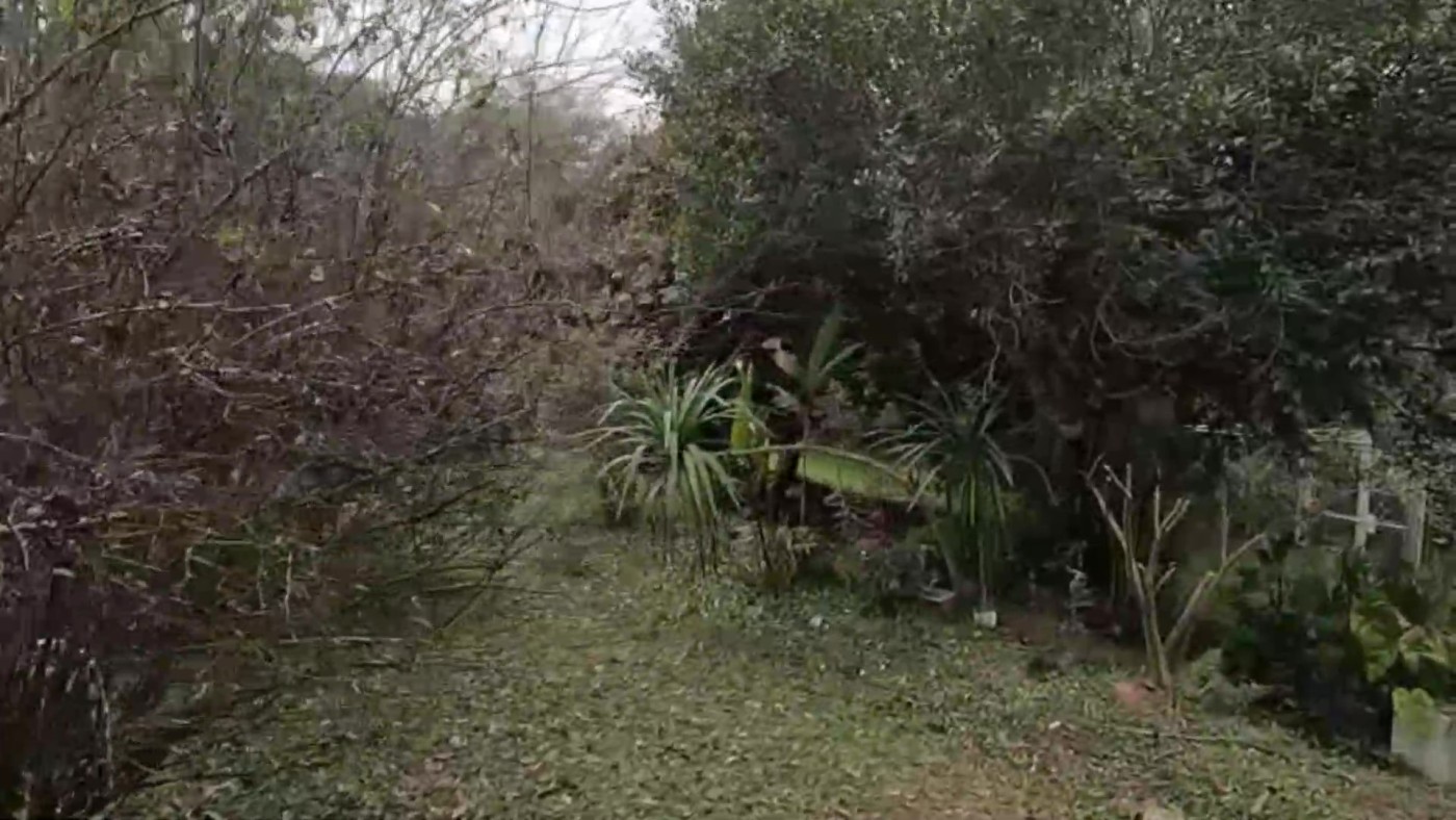 Chácara, 2 quartos, 1500 m² - Foto 23