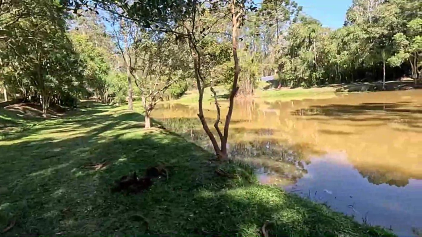 Casa de Condomínio, 8 quartos - Foto 4