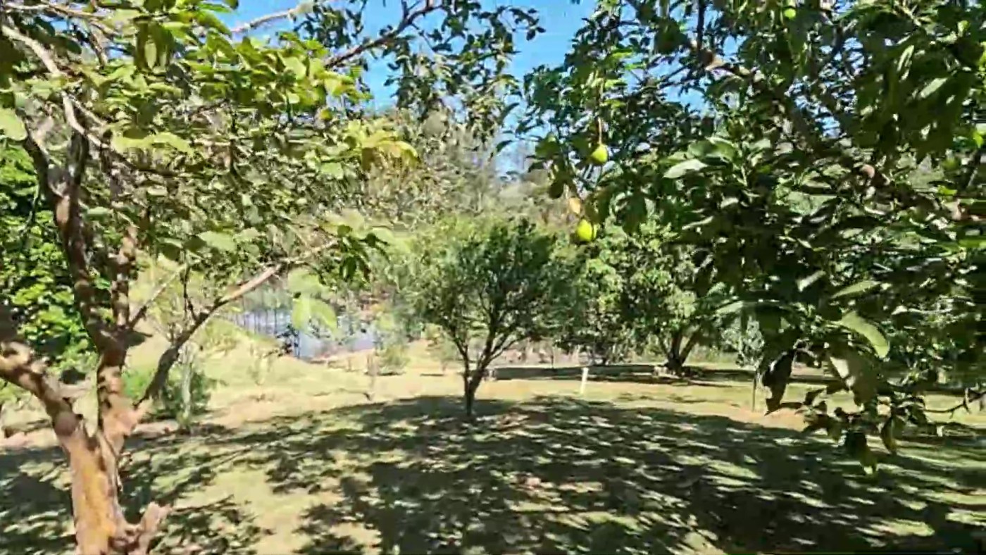 Casa de Condomínio, 8 quartos - Foto 56