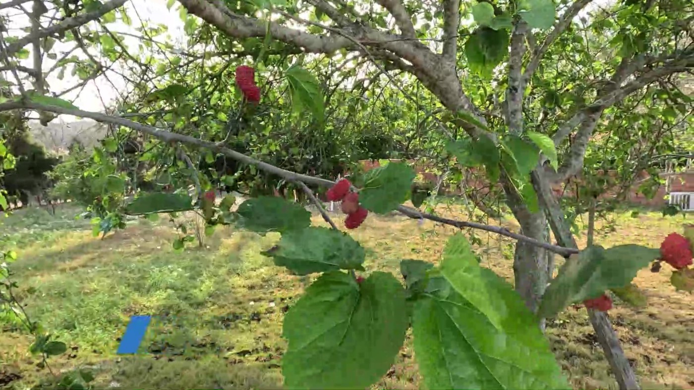 Casa de Condomínio, 4 quartos - Foto 24