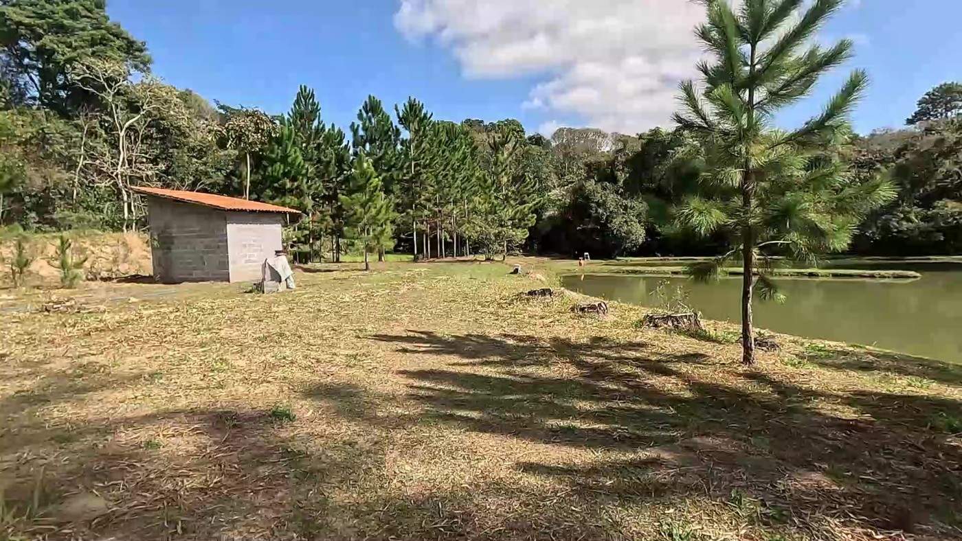 Sítio, 3 quartos, 2 hectares - Foto 3