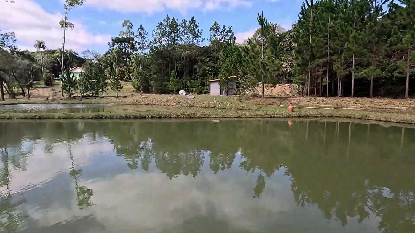 Sítio, 3 quartos, 2 hectares - Foto 5