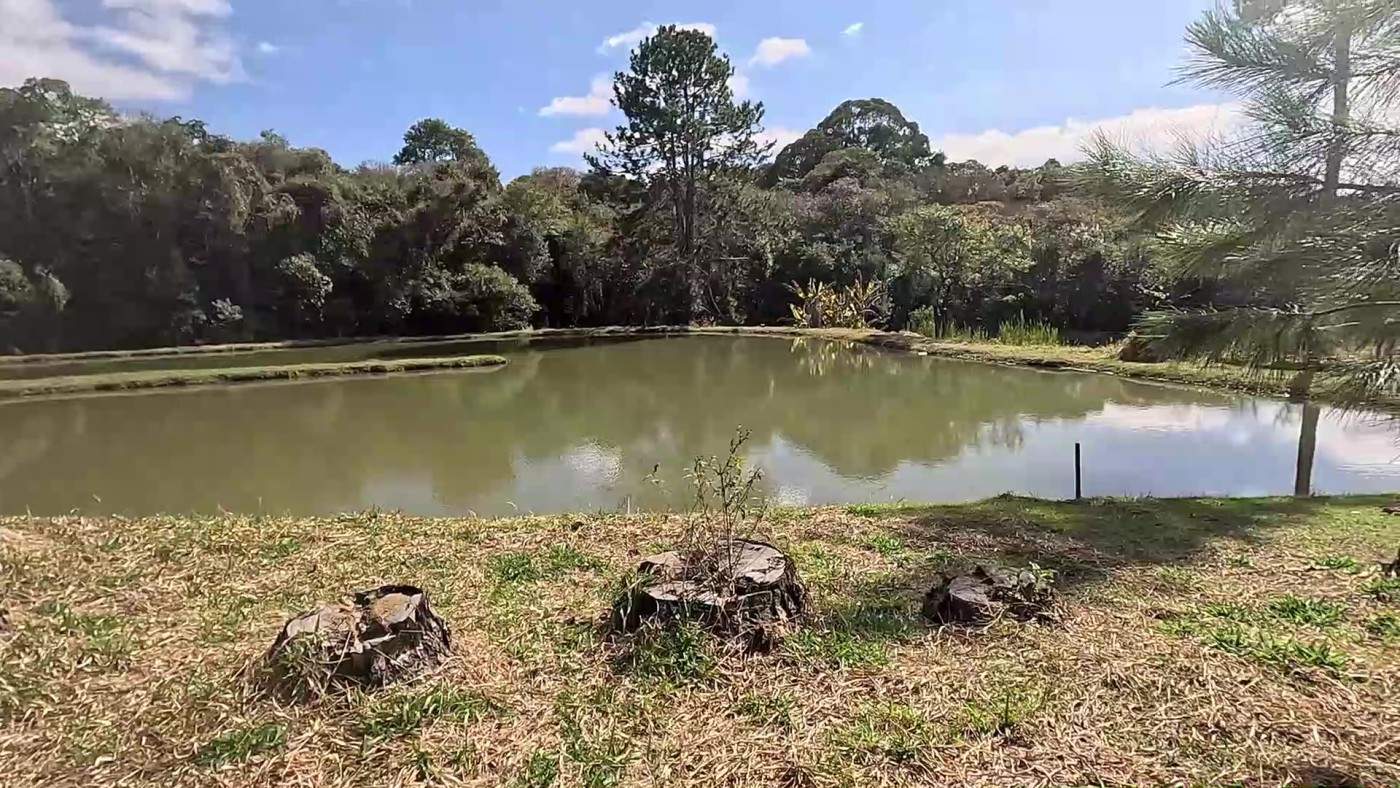 Sítio, 3 quartos, 2 hectares - Foto 4