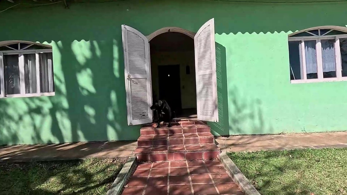 Sítio, 3 quartos, 2 hectares - Foto 10