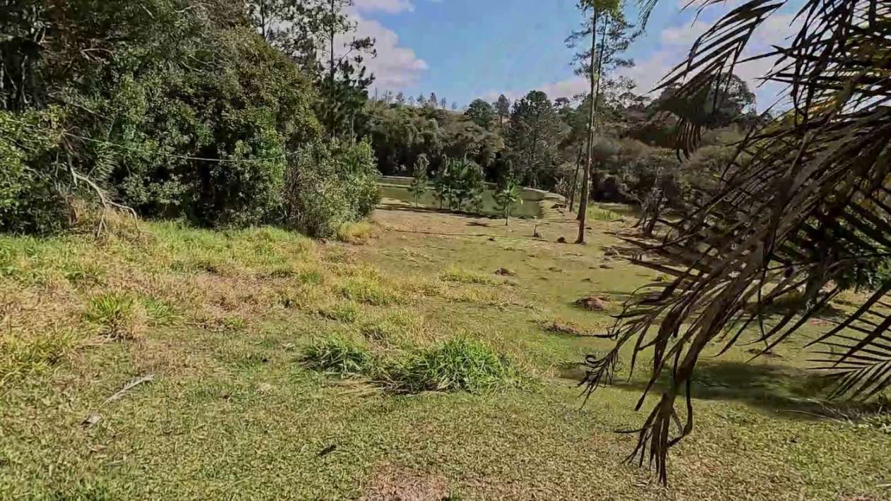 Sítio, 3 quartos, 2 hectares - Foto 33