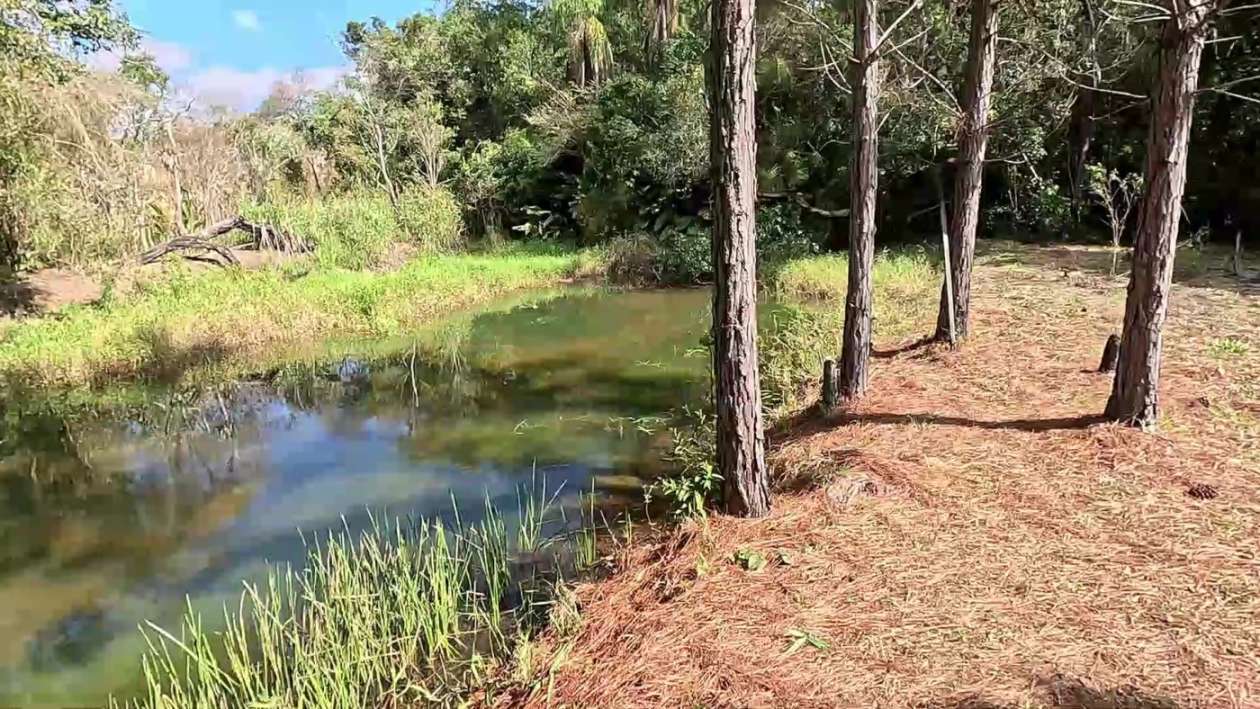 Sítio, 3 quartos, 2 hectares - Foto 37