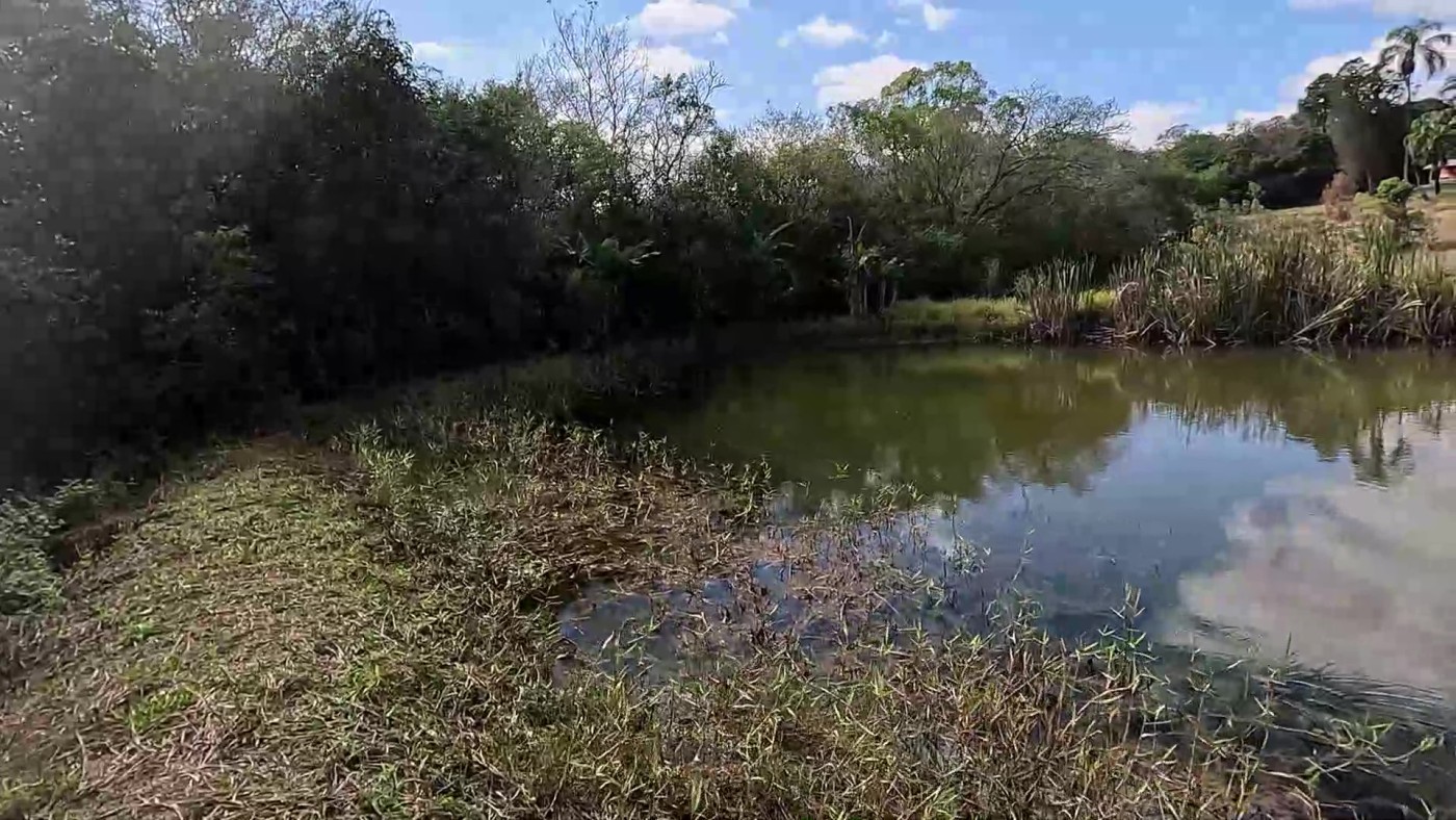 Sítio, 3 quartos, 2 hectares - Foto 39