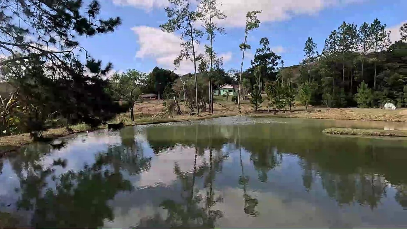 Sítio, 3 quartos, 2 hectares - Foto 38