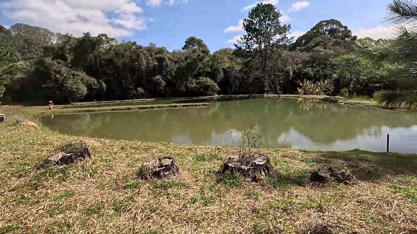 Sítio, 3 quartos, 2 hectares - Foto 36