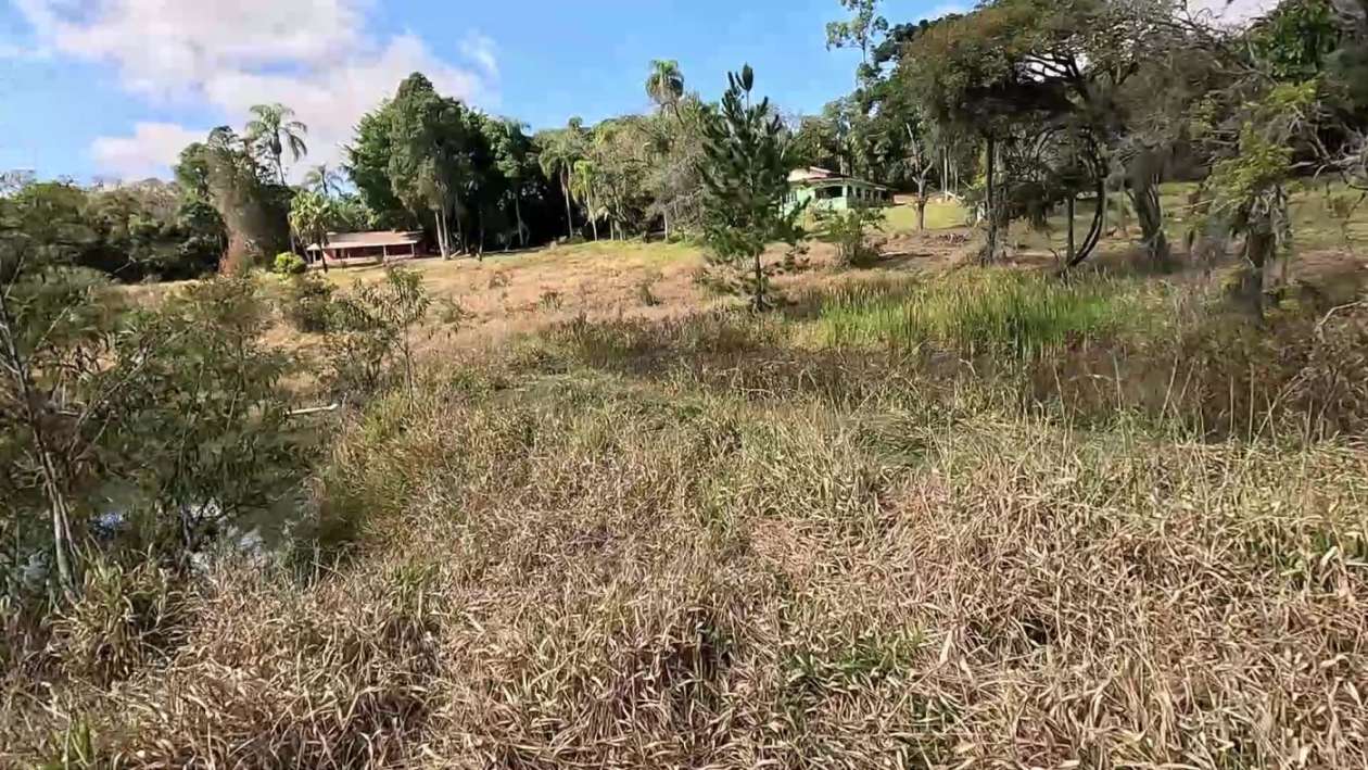 Sítio, 3 quartos, 2 hectares - Foto 41