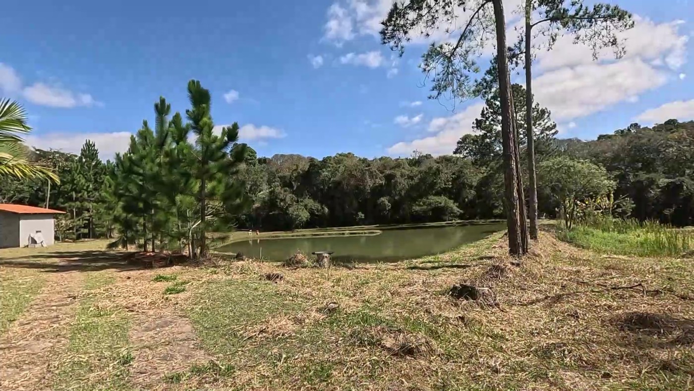 Sítio, 3 quartos, 2 hectares - Foto 42