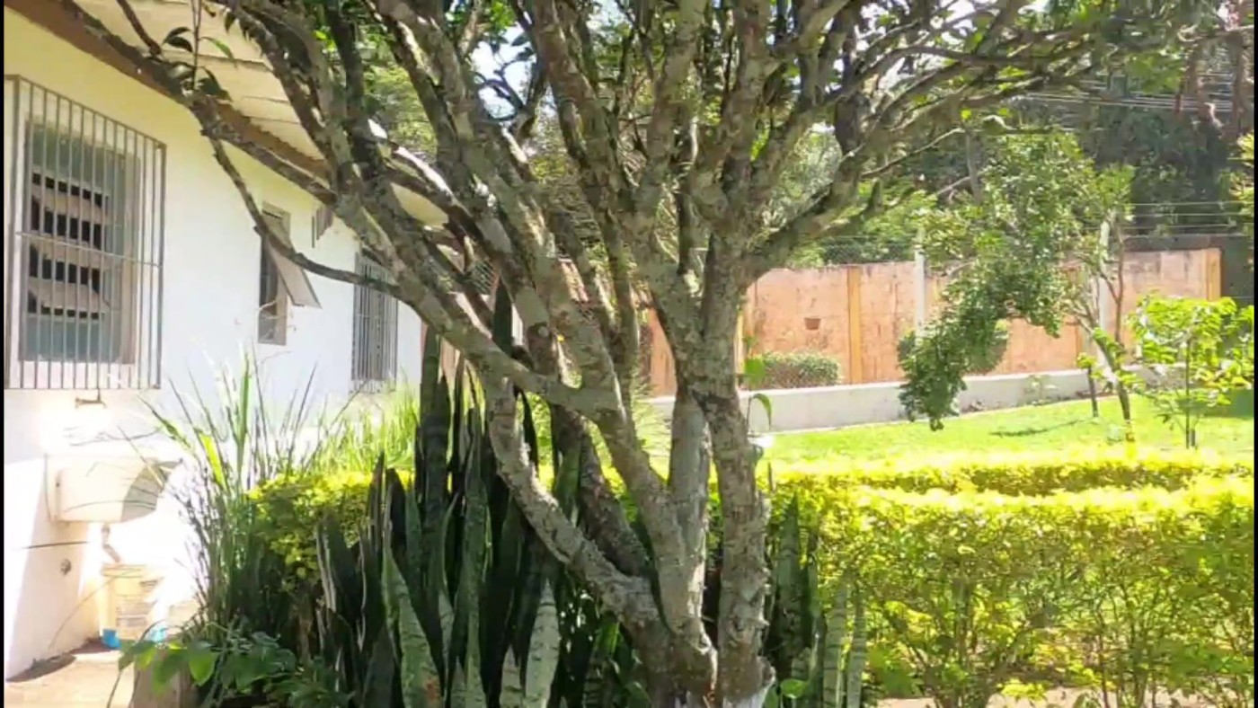 Chácara, 2 quartos, 1200 m² - Foto 7