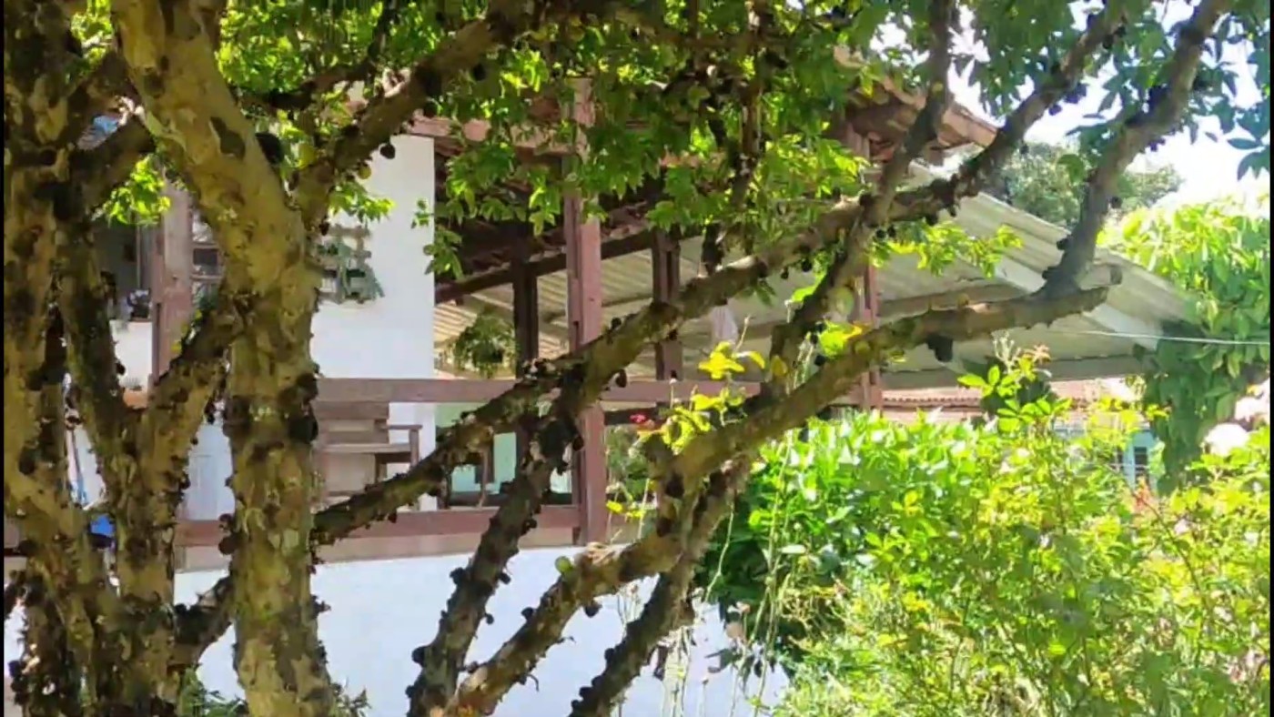 Chácara, 2 quartos, 1200 m² - Foto 14