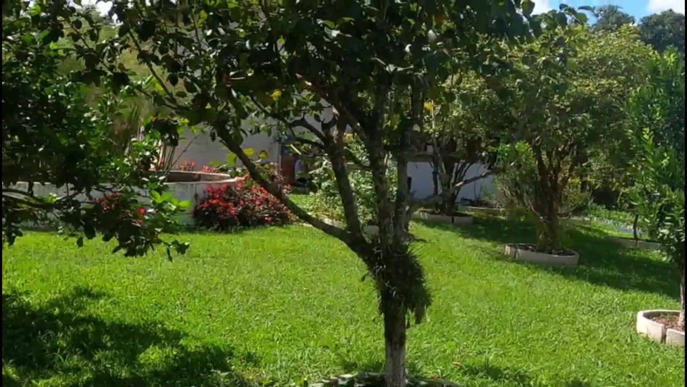 Chácara, 2 quartos, 1200 m² - Foto 11