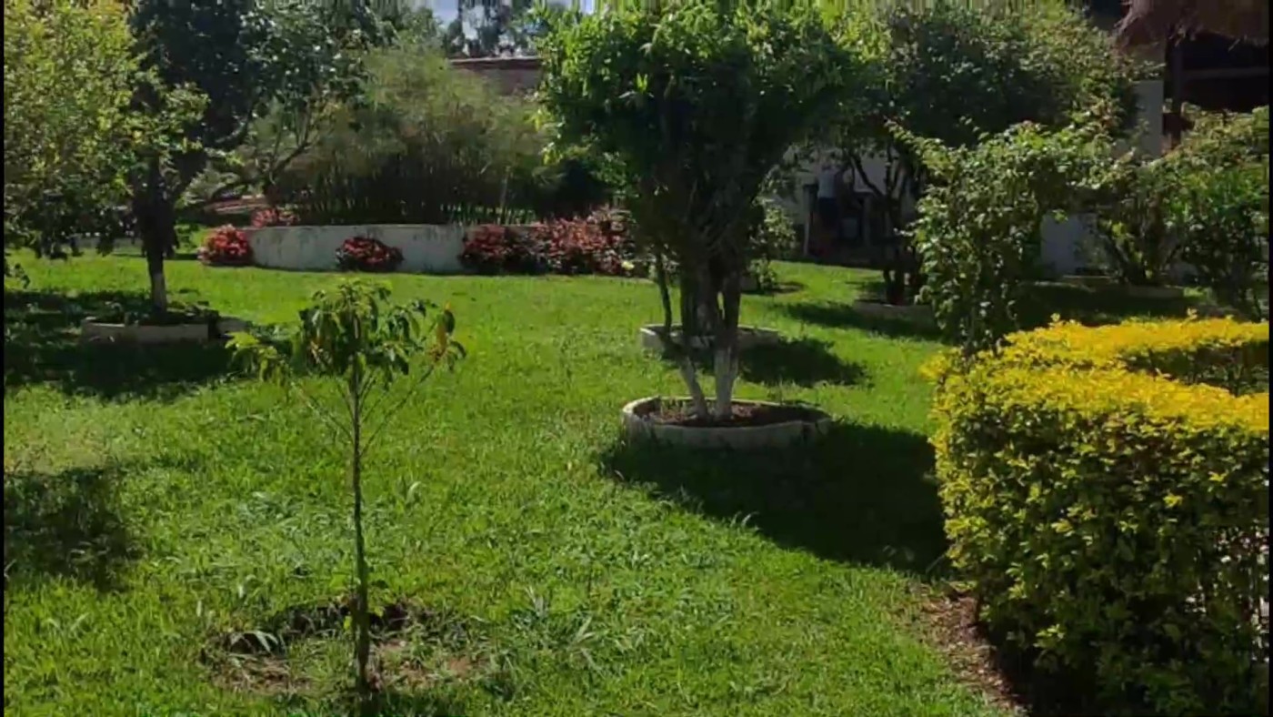 Chácara, 2 quartos, 1200 m² - Foto 10