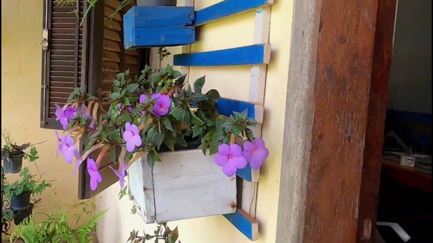 Chácara, 2 quartos, 1200 m² - Foto 28