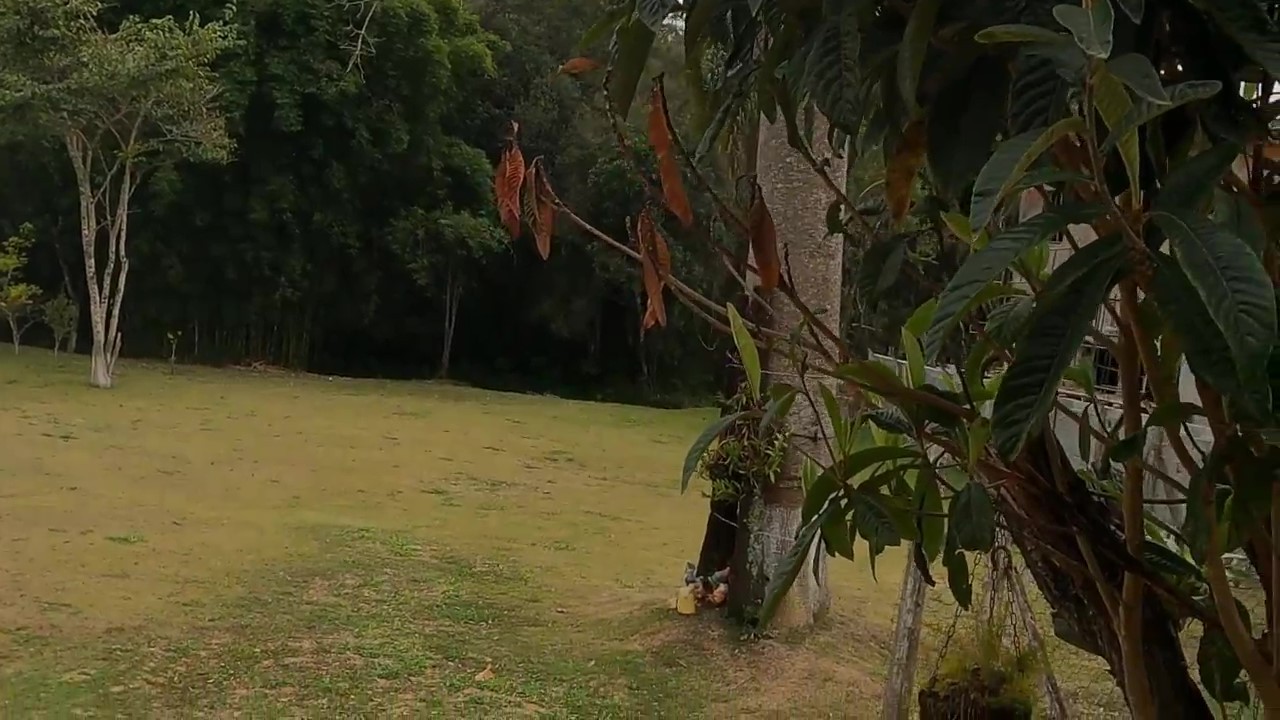 Chácara, 1 quarto, 1200 m² - Foto 4