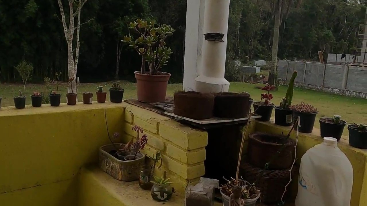 Chácara, 1 quarto, 1200 m² - Foto 7