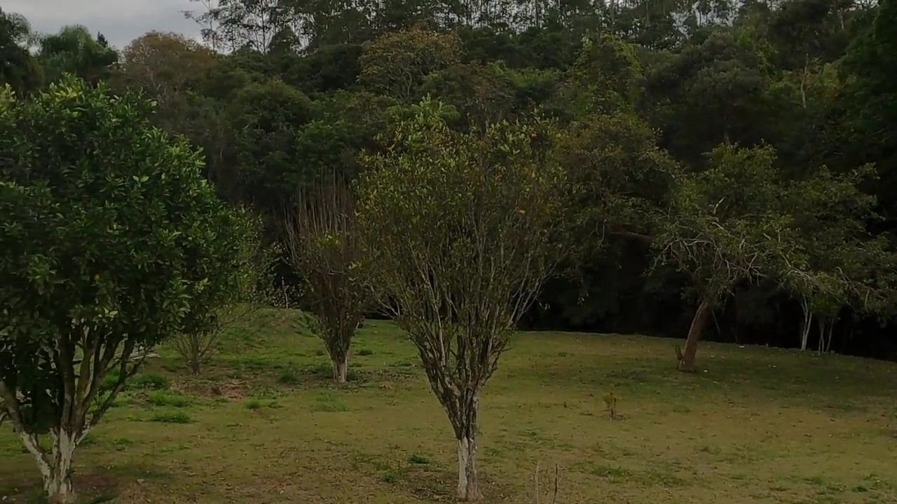 Chácara, 1 quarto, 1200 m² - Foto 8