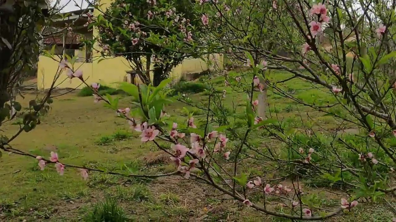 Chácara, 1 quarto, 1200 m² - Foto 19