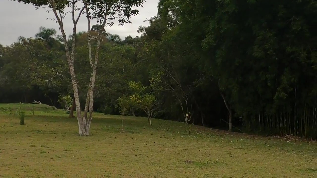 Chácara, 1 quarto, 1200 m² - Foto 15