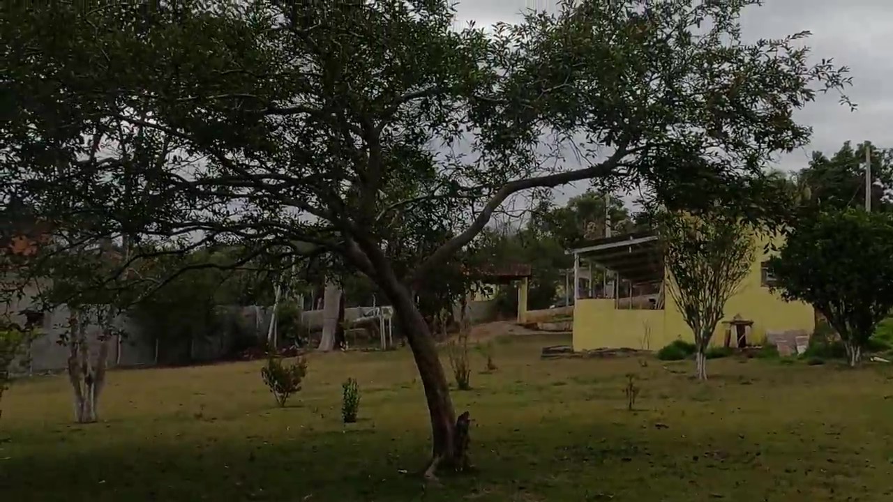 Chácara, 1 quarto, 1200 m² - Foto 18