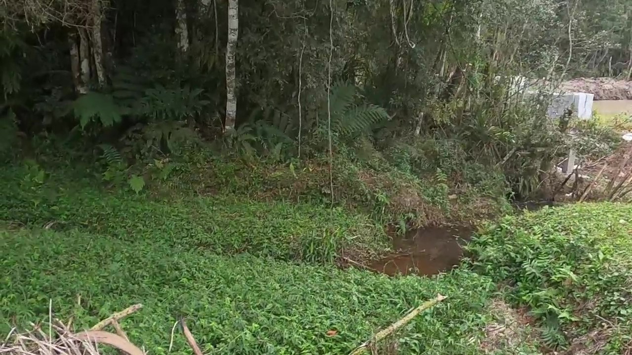 Chácara, 1 quarto, 1200 m² - Foto 16