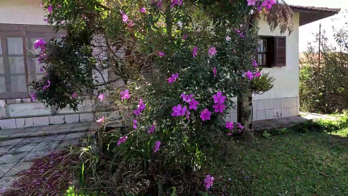 Chácara, 3 quartos, 1000 m² - Foto 2