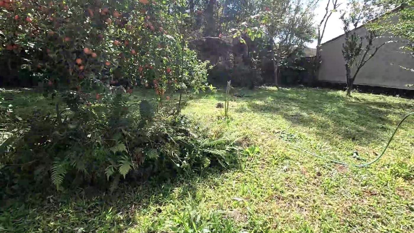 Chácara, 3 quartos, 1000 m² - Foto 30