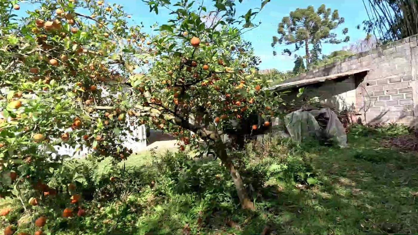 Chácara, 3 quartos, 1000 m² - Foto 32