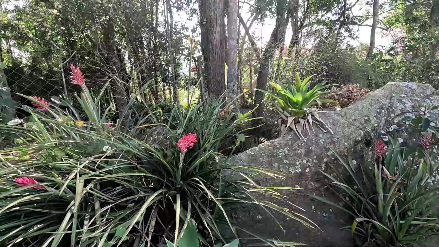 Casa de Condomínio, 4 quartos - Foto 12