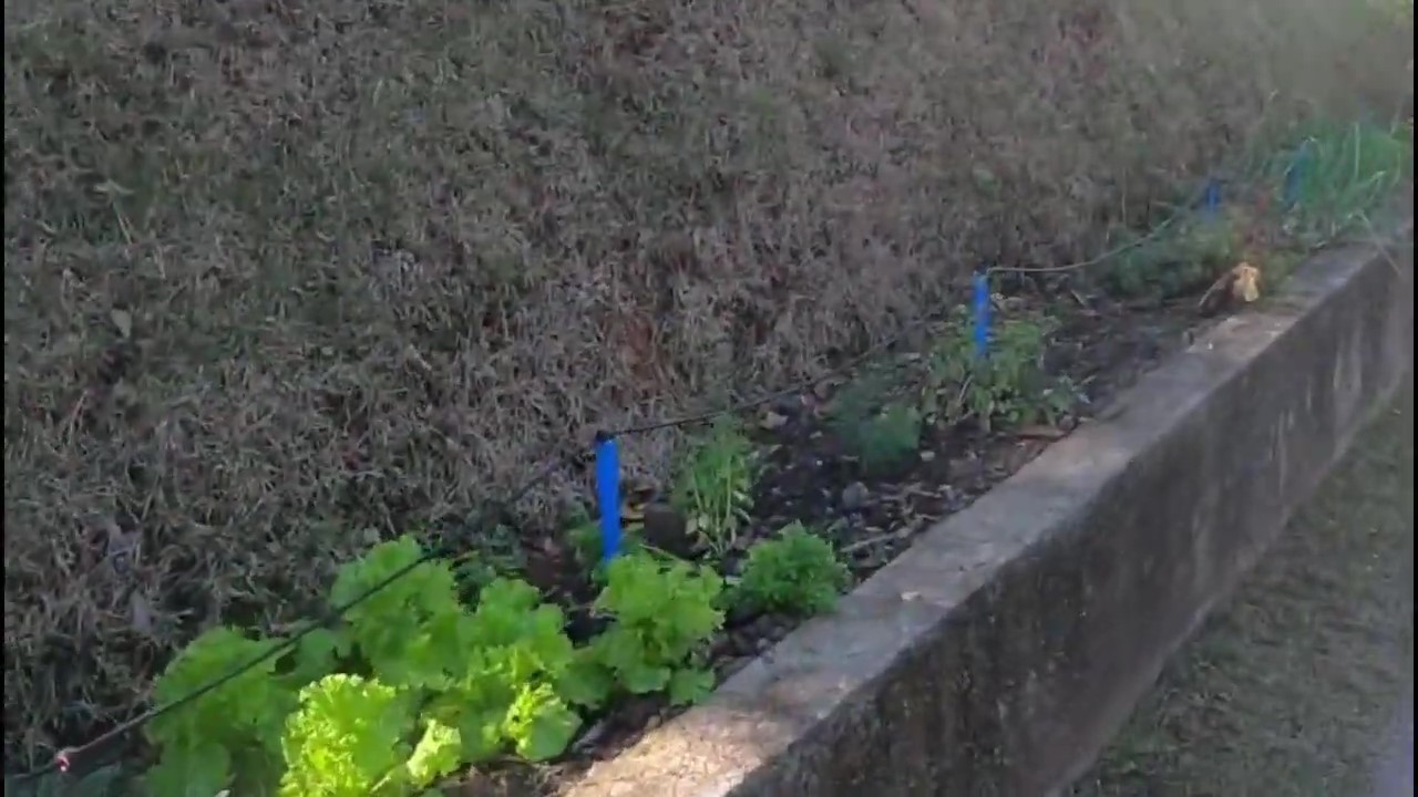 Casa de Condomínio, 3 quartos - Foto 26