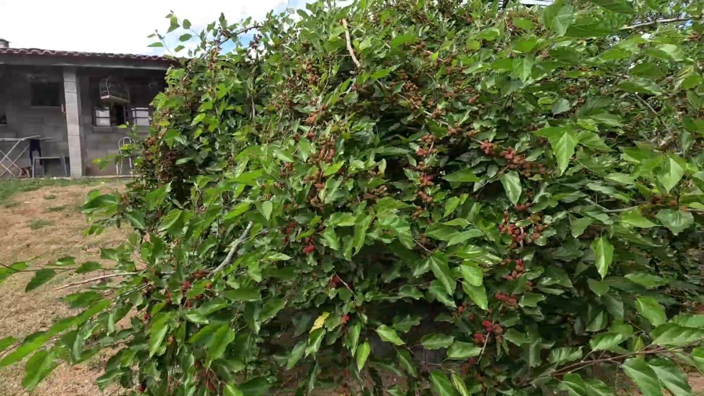 Chácara, 2100 m² - Foto 32