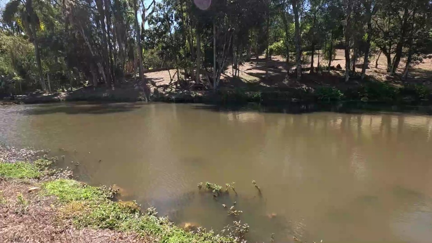 Chácara, 2 quartos, 5900 m² - Foto 34