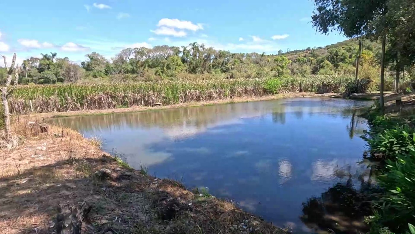 Chácara, 2 quartos, 5900 m² - Foto 33