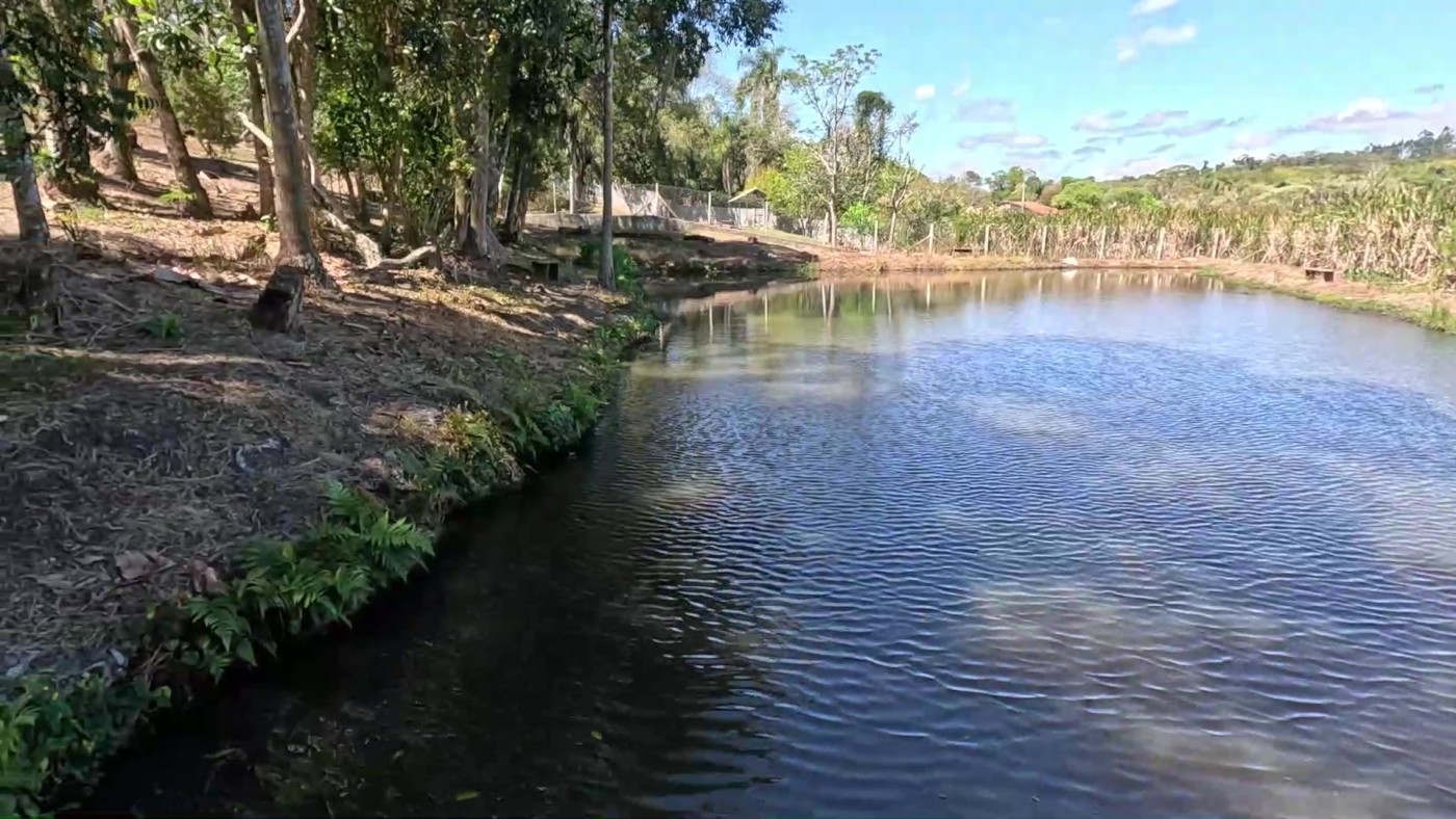 Chácara, 2 quartos, 5900 m² - Foto 35