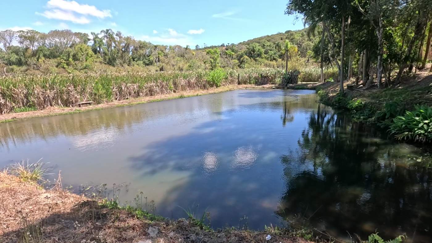 Chácara, 2 quartos, 5900 m² - Foto 39