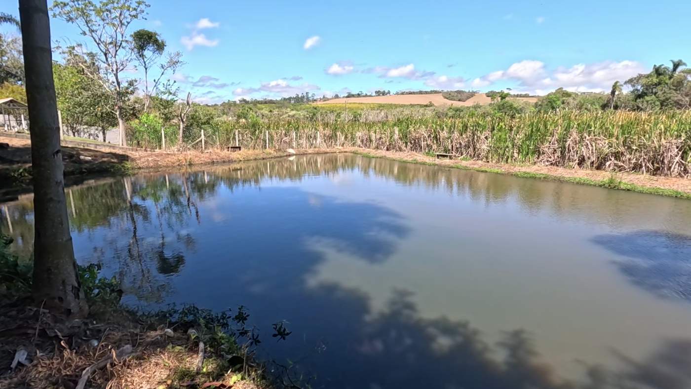 Chácara, 2 quartos, 5900 m² - Foto 41