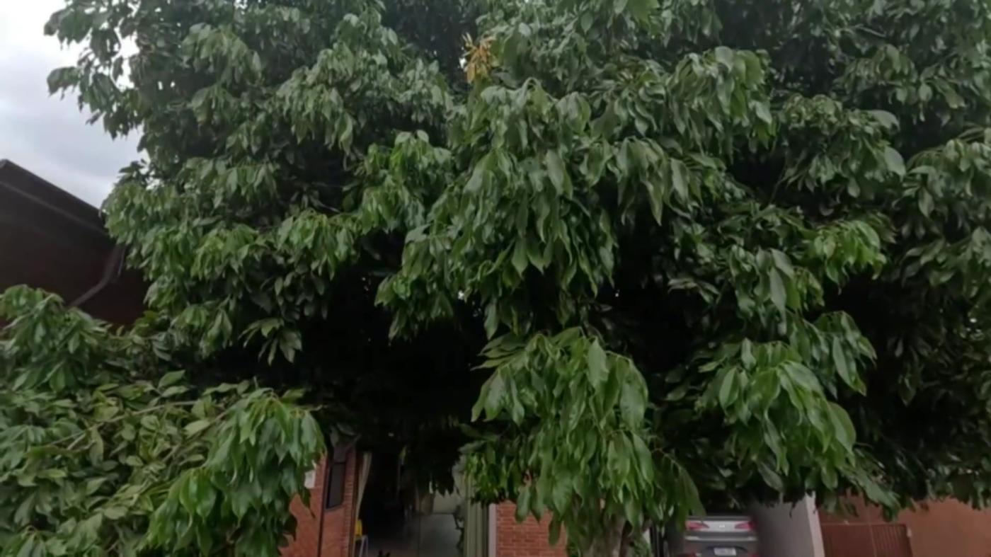 Casa de Condomínio, 4 quartos - Foto 9