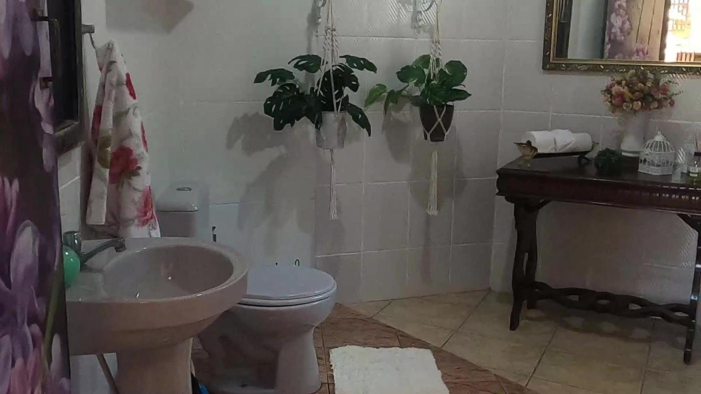 Chácara, 2 quartos, 1500 m² - Foto 29