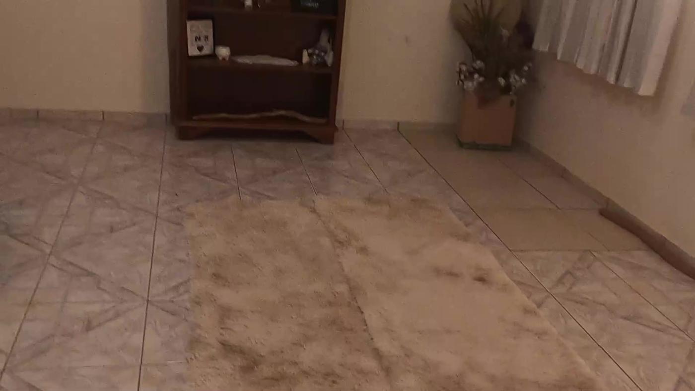 Chácara, 2 quartos, 1500 m² - Foto 37